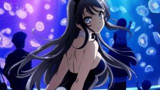 Seishun Buta Yarou wa Bunny Girl Senpai no Yume wo Minai الحلقة 1